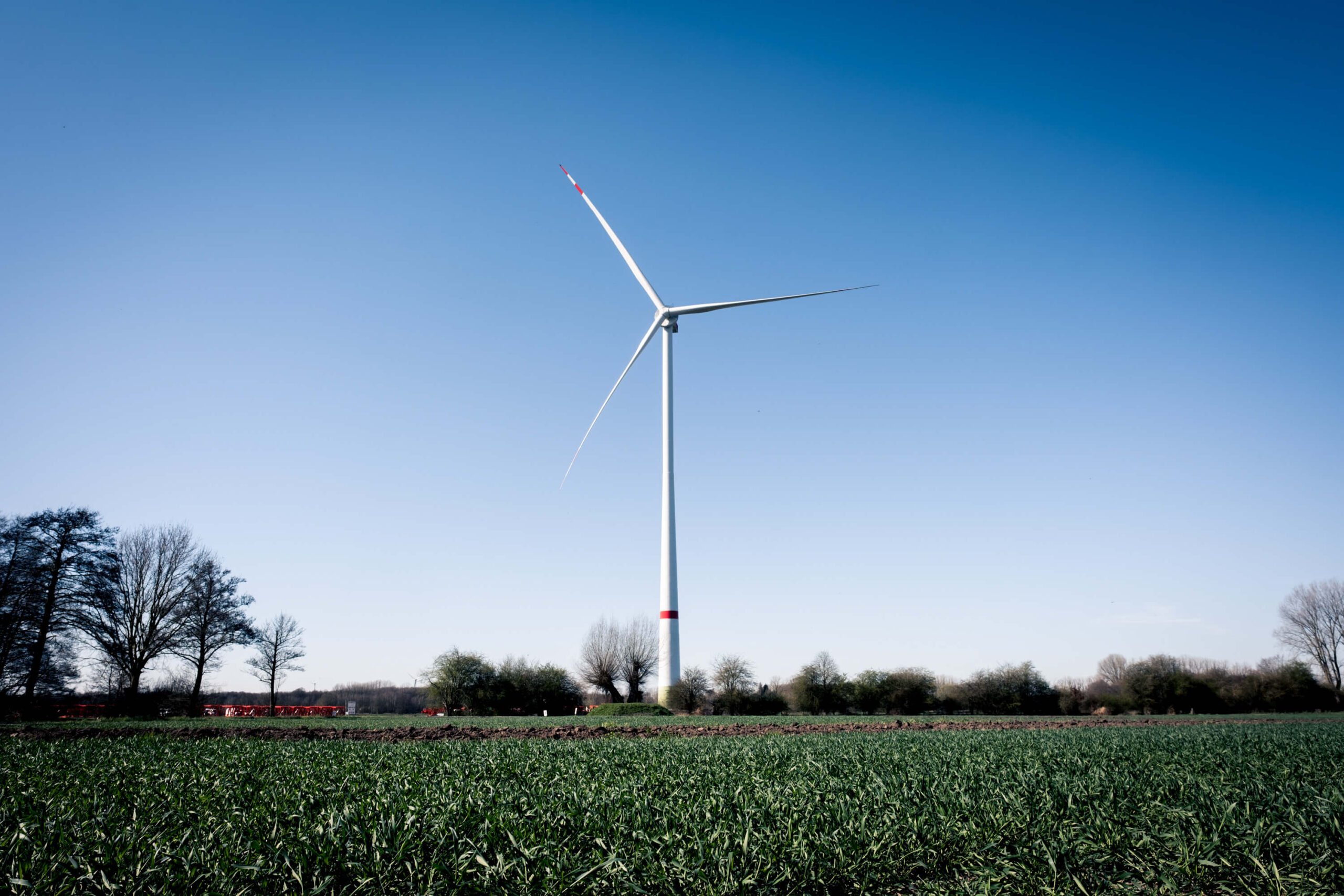 Darstellung eines Windrads auf einem Feld im Sonnenschein